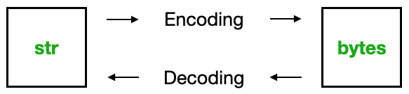 encoding and decoding in Python