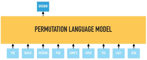 GIF of permutation language model prediction
