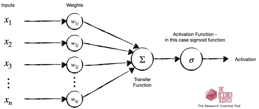 A sigmoid unit in a neural network