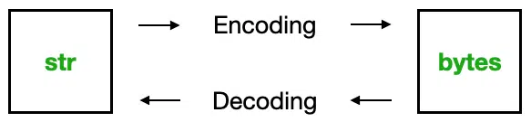 encoding and decoding in Python