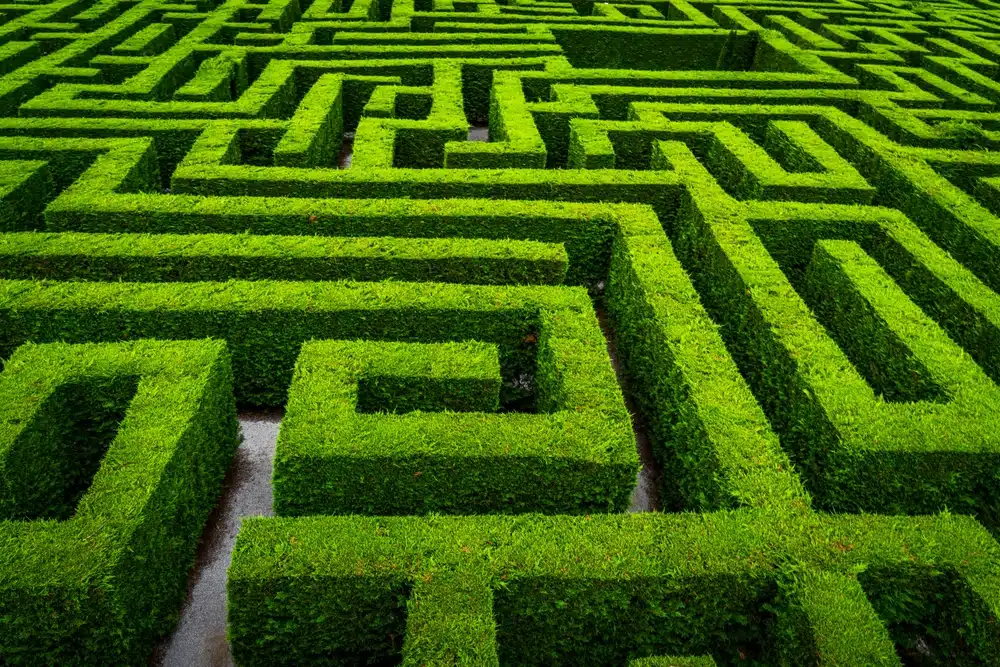 A lush green hedge maze with intricate pathways, resembling a complex network of nodes and edges. This visually represents the challenge of finding the shortest path, akin to Dijkstra’s Algorithm in graph theory.